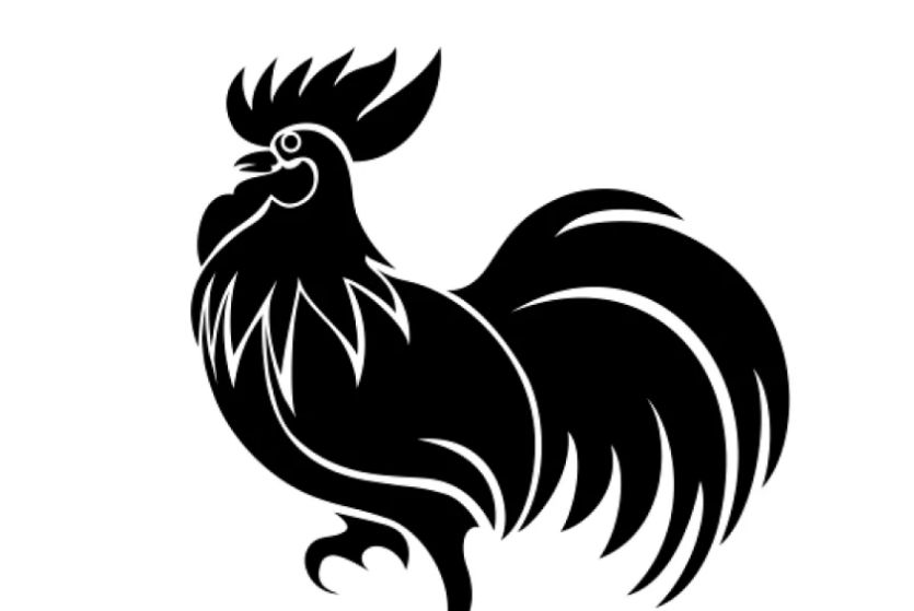 Minimal rooster Illustration Design