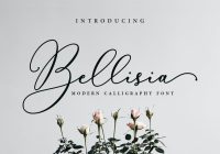 Calligraphy Fonts