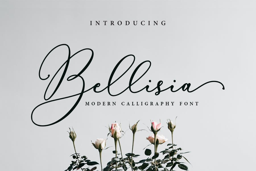 Modern Calligraphy Italic Fonts