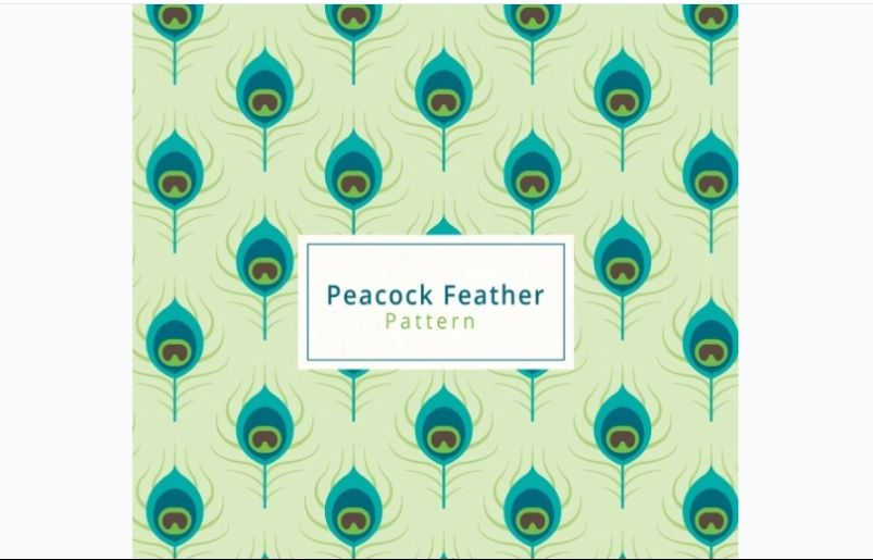 Simple Peacock Feather Patterns
