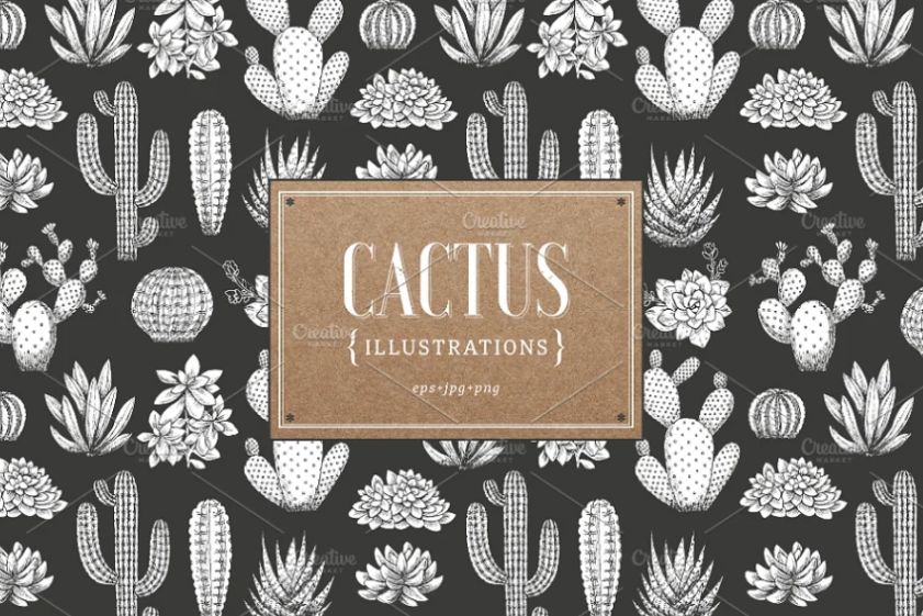 Sketch Style Cactus Patterns