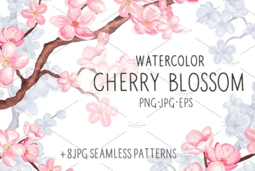 Watercolor Cherry Blossom Patterns