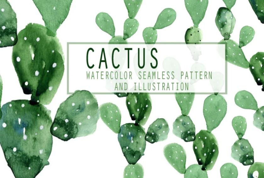 Watercolor Green Cactus Illustrations