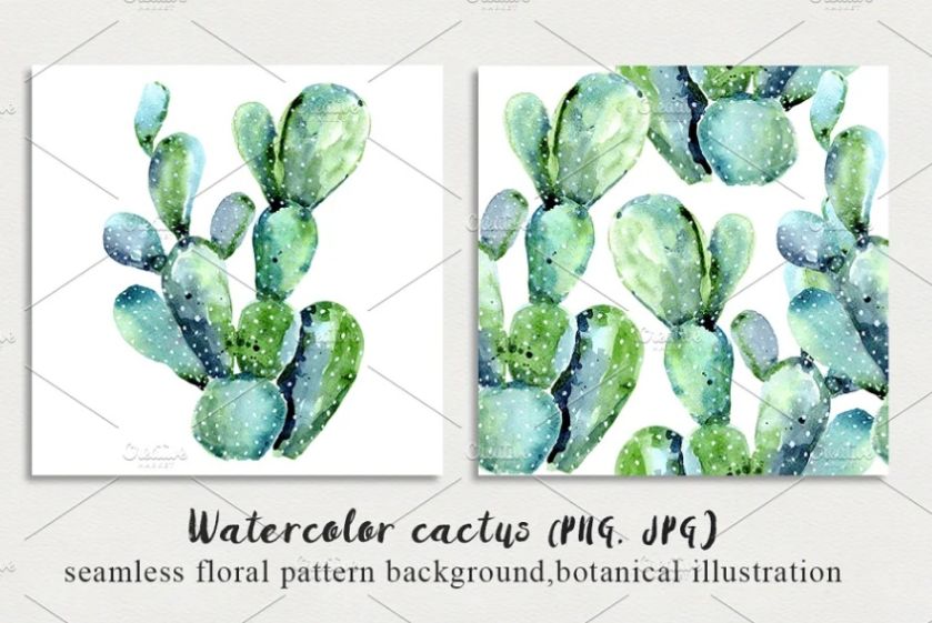 Watercolor Style Cactus Plant Illustrations