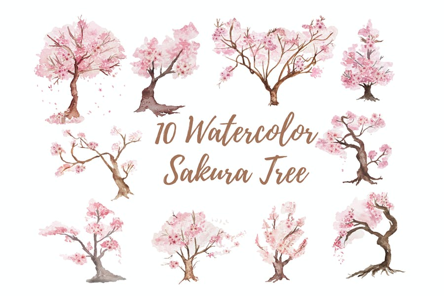 10 Watercolor Sakura Illustrations