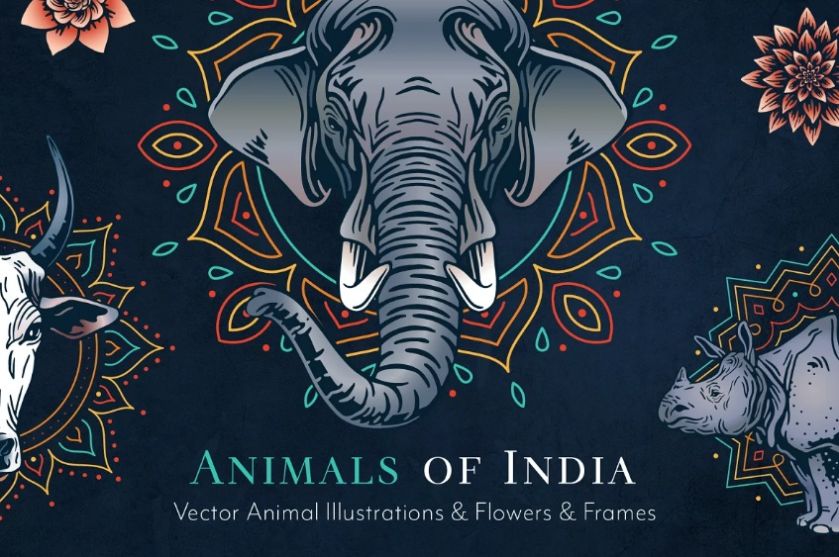Animals of India Illustartions