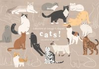 Cat Illustartions