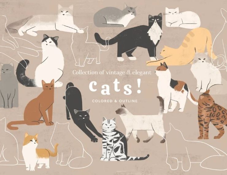 15+ Cat Illustrations Clipart Vectors FREE Download