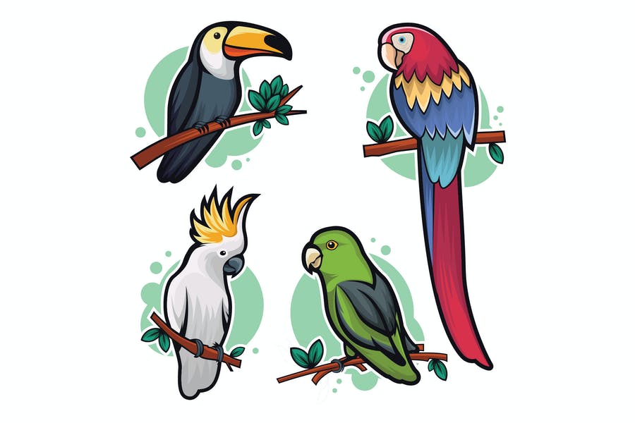 Colorful Bird Illustrations Set