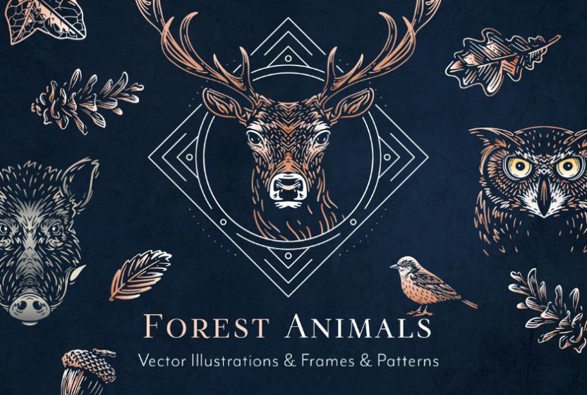 Creative Forest Animals Logo Illustrations