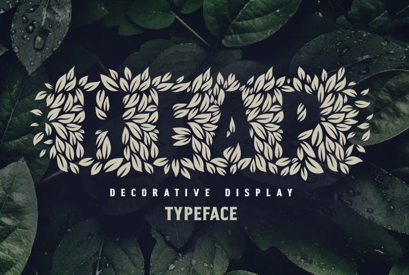Decorative Typography Font