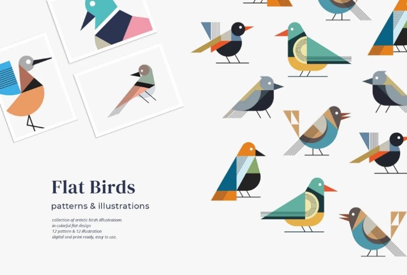 Flat Birds Illustration and Patterns