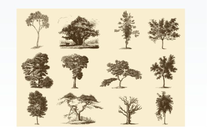 Free Sepia Trees Vector