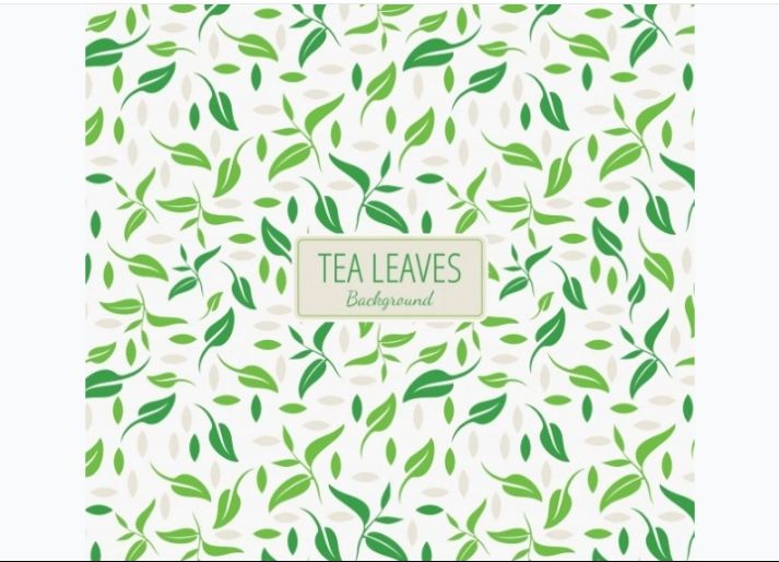 Free Tea Leaves Patterns