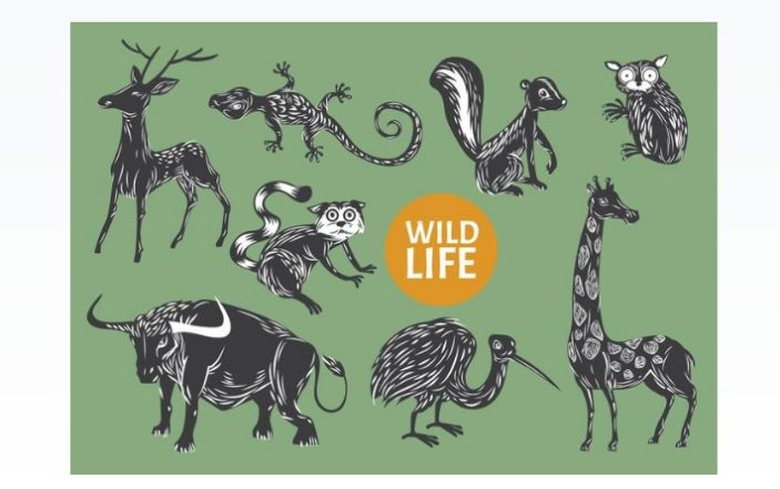 Free Wild Life Vector Illustrations