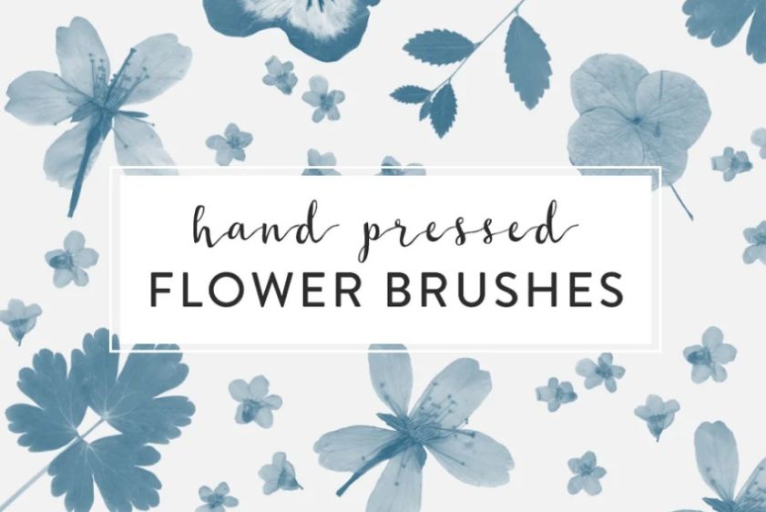 Hand Pressed Flower Brushes
