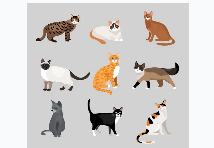 Kitties Illustration Set
