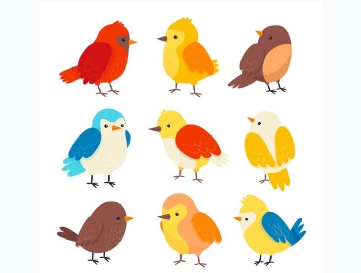 Simple and Cute Bird Illustrations