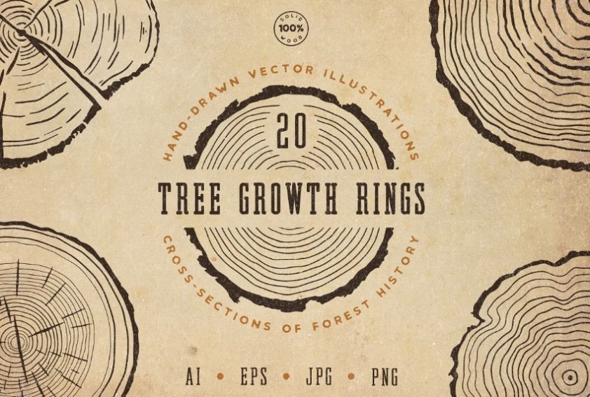 Trees Growth Rings Illustrations