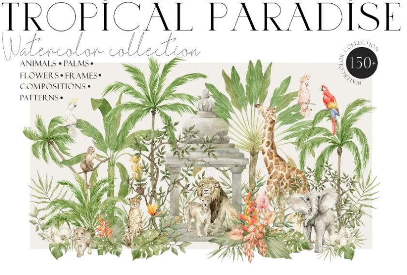 Tropical Animals and Plants Illustrations