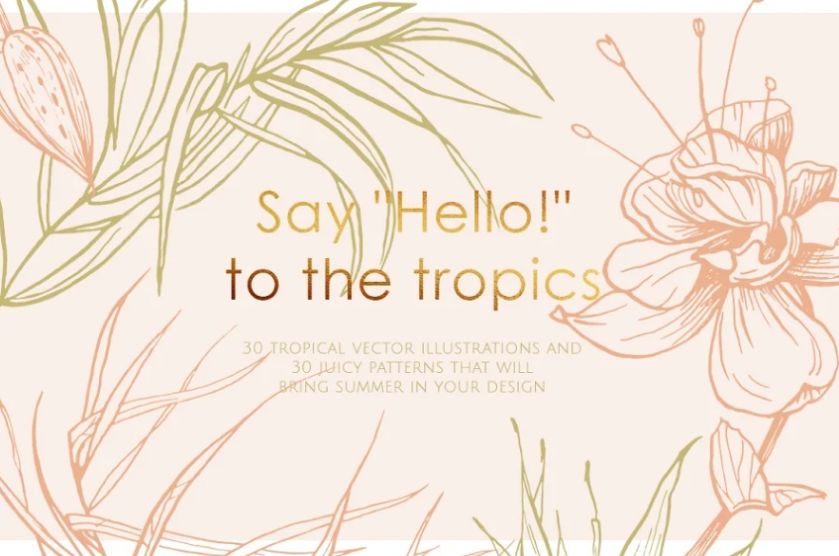 Tropical Vector Illustration Design