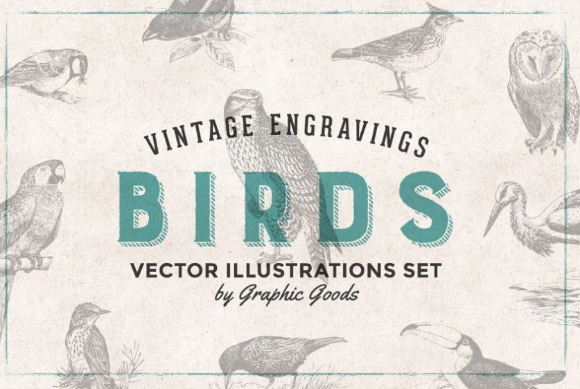 Vintage Engraved Birds Set