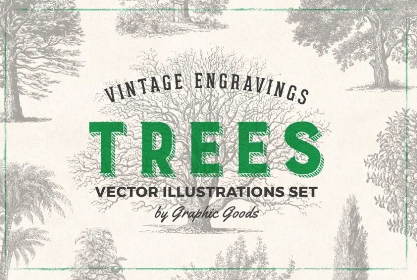Vintage Tree Illustrations Set
