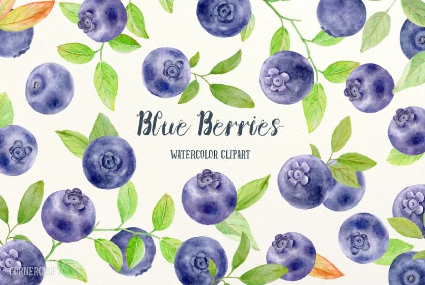 Watercolor Blueberry Fruit Clipart