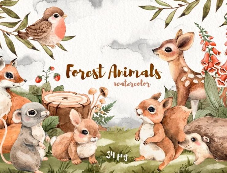 15+ Forest Illustrations AI PNG FREE Download