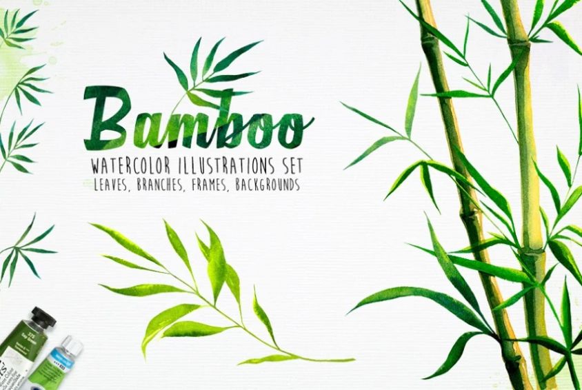 Watercolor Seamless Bamboo Illustrations