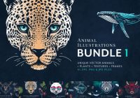 Wild Animal Illustrations