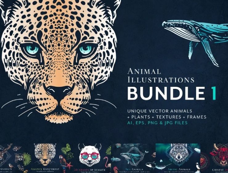 15+ Wild Animal Illustrations Clipart FREE Download