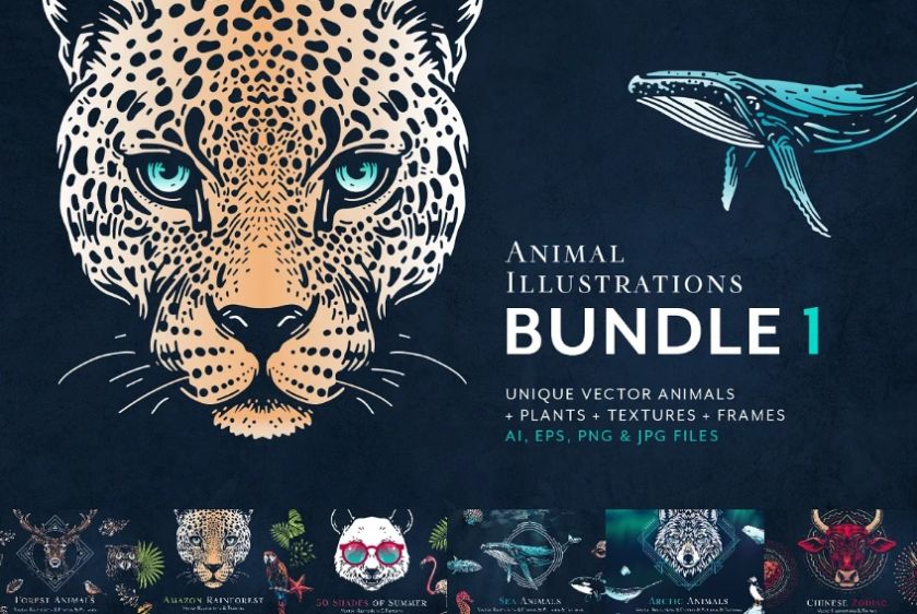 Wild Animals Illustration Bundle