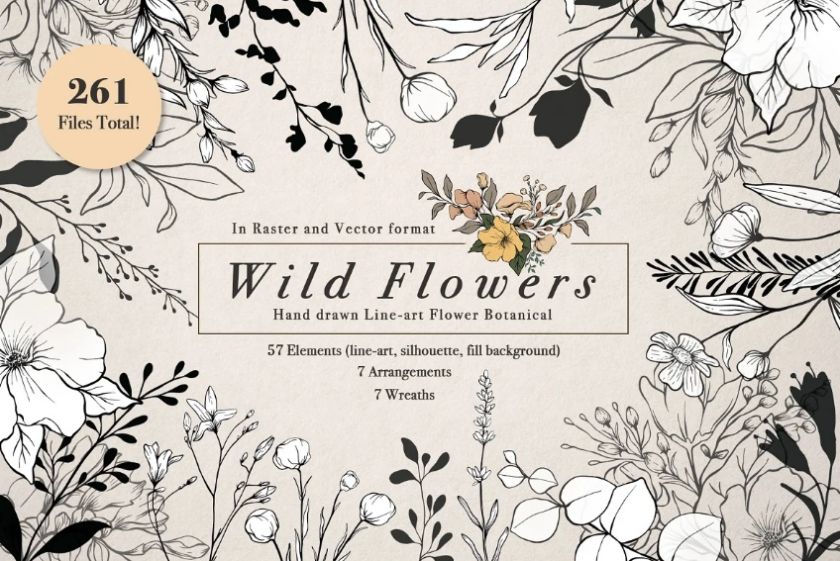 Wild Flower Illustrations Design