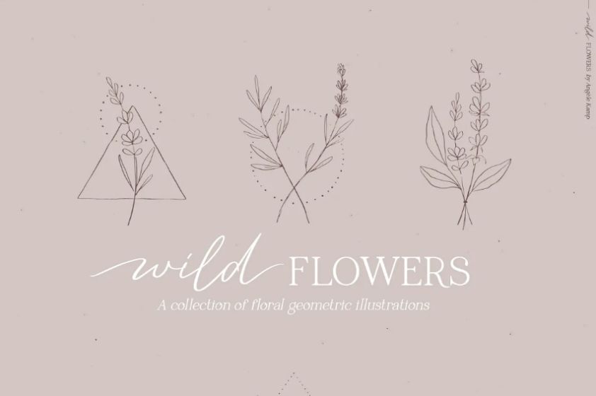 Wild Flower Vector Illustrations