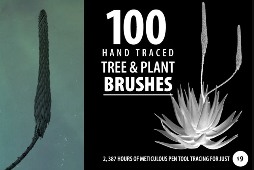 100 Trees and Plants Brushes