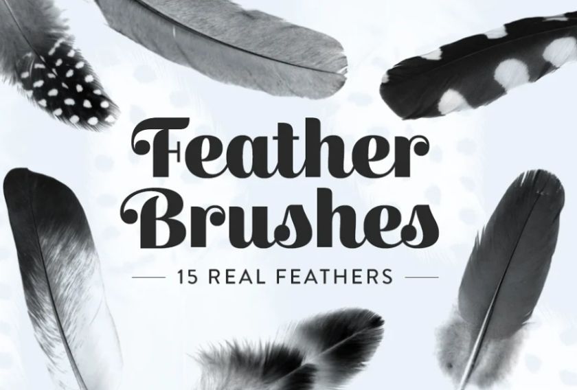 15 Unique Feather Brush Set