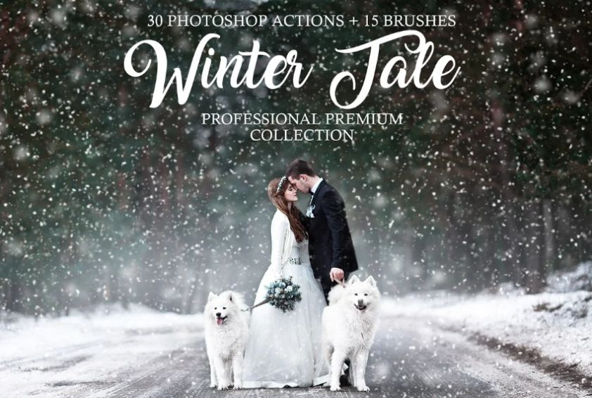 30 Winter Tale Actions and Brushes