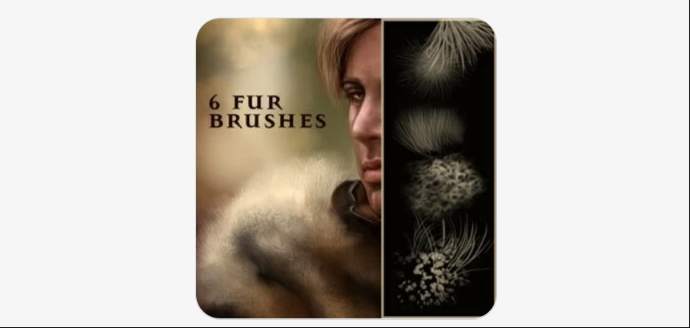 6 Unique Fur Brush Designs