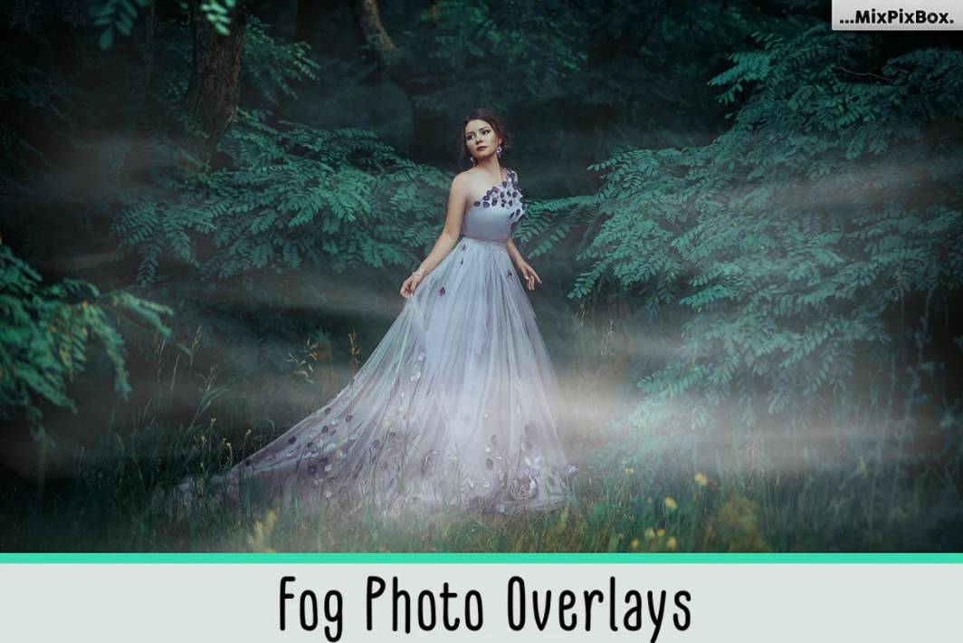 Creative Fog Photo Overlays