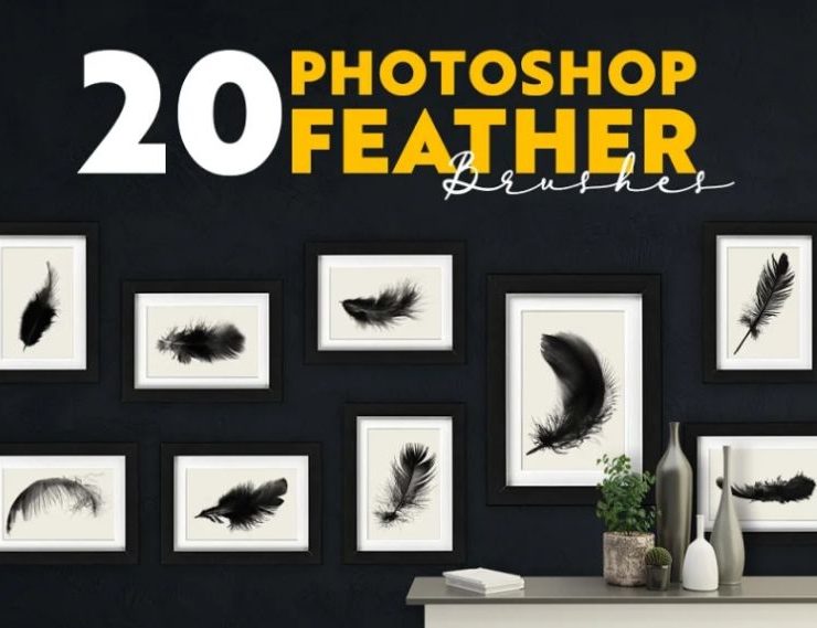 15+ Feather Brushes ABR FREE Download