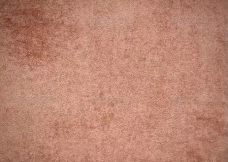 Free Carpet Texture