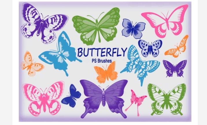 Free Colorful Butterfly Brush