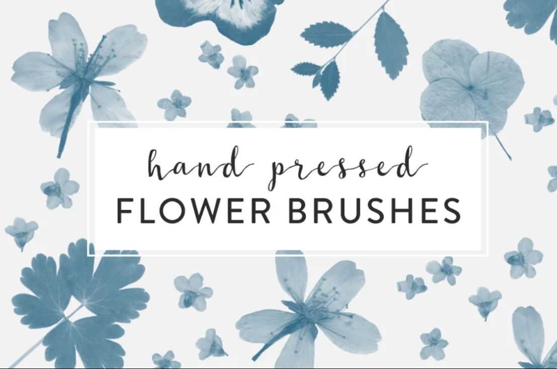 Hand Pressed Flower Photoshop Brushes