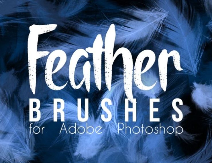 15+ FREE Feather Photoshop Brushes ABR Download