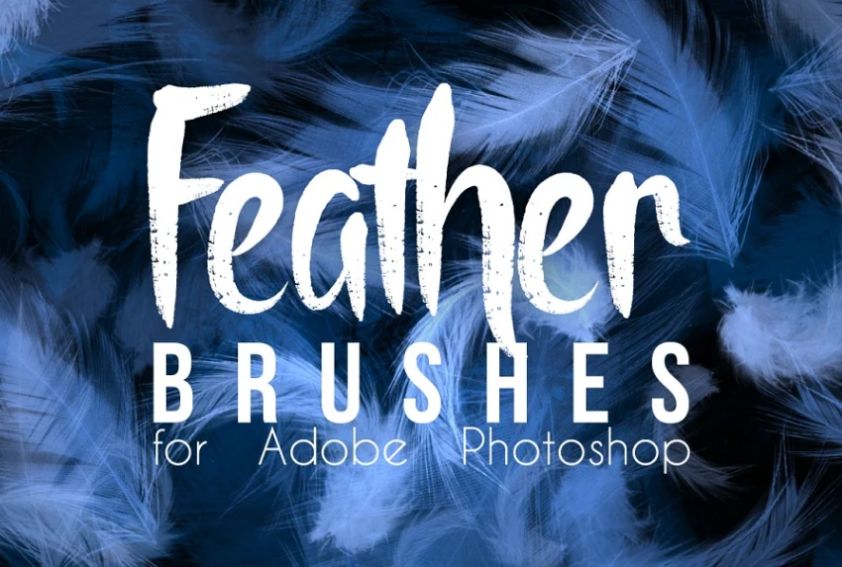 Realistic Bird Feather Brushes