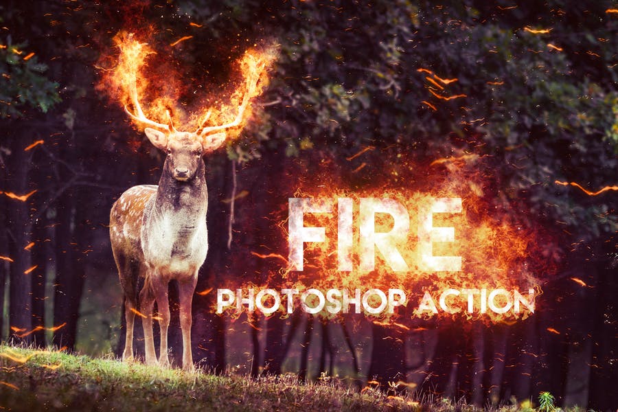 Realistic Fire Flames Action