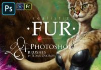 Fur Brush Designs