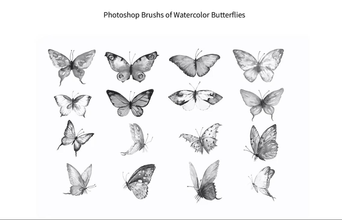 Watercolor Butterfly Brushes Design