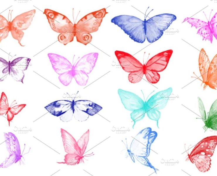 15+ Butterfly Brushes ABR Procreate Free Download